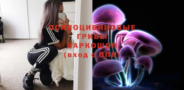 первитин Каменка