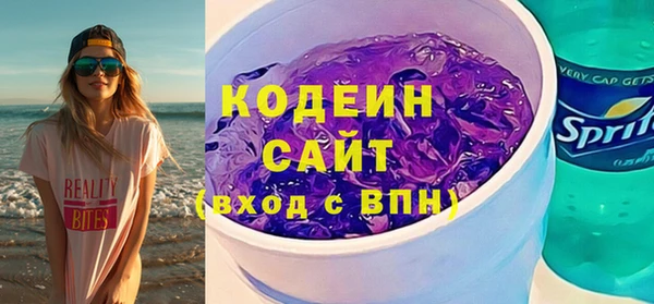 твердый Карпинск
