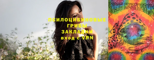 а пвп мука Каменногорск