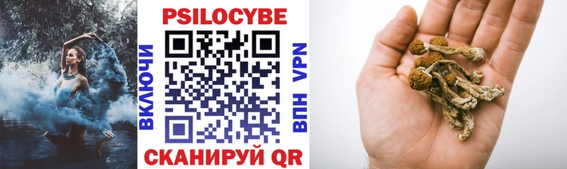 Купить закладки Лесосибирск Псилоцибиновые грибы Cubensis
