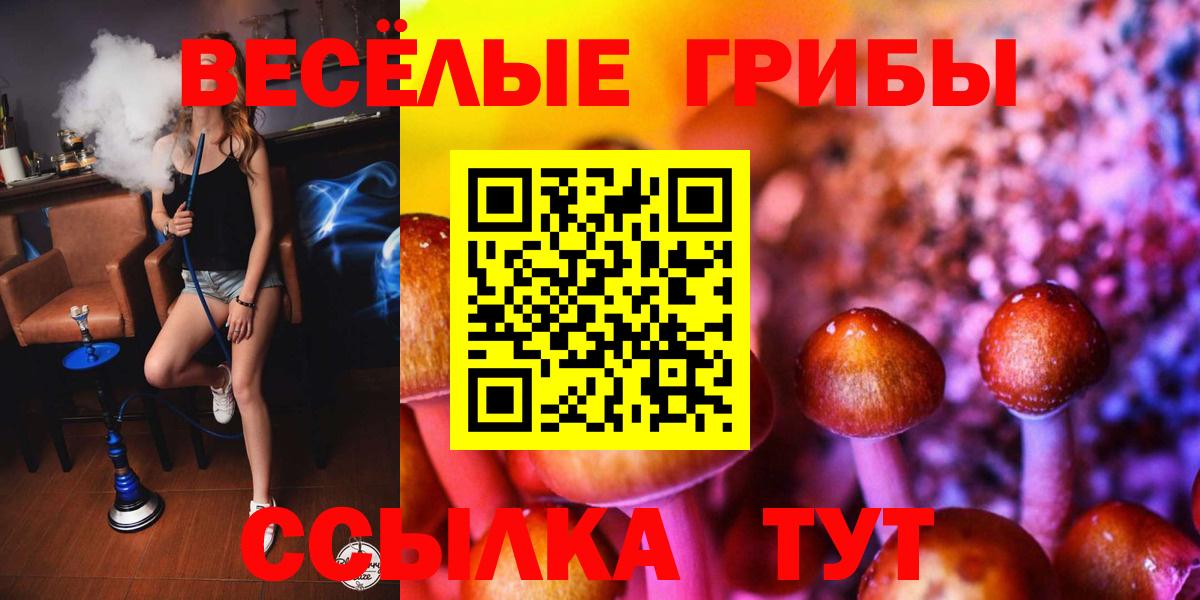 Галлюциногенные грибы Magic Shrooms  Псилоцибиновые грибы Psilocybe  Вход с VPN  Лесосибирск 