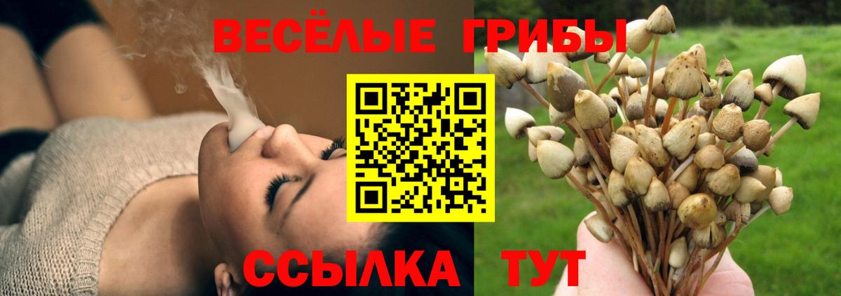 Галлюциногенные грибы ЛСД  дарнет шоп  Лесосибирск 